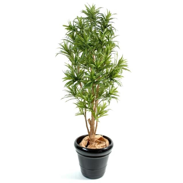 Dracaena synthétique de 150 cm au feuillage vert en deux nuances