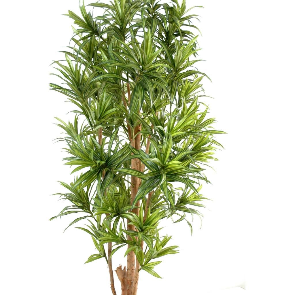 Autre angle : dracaena synthétique de 150 cm au feuillage vert en deux nuances