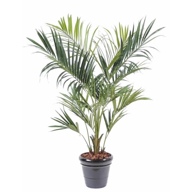 Kentia artificiel de 190 cm composé de quatorze palmes vertes
