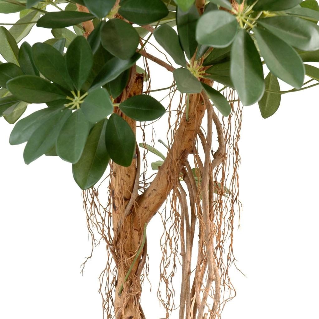 Autre angle : schefflera artificiel vert de 150 cm, largeur annoncée 75 cm