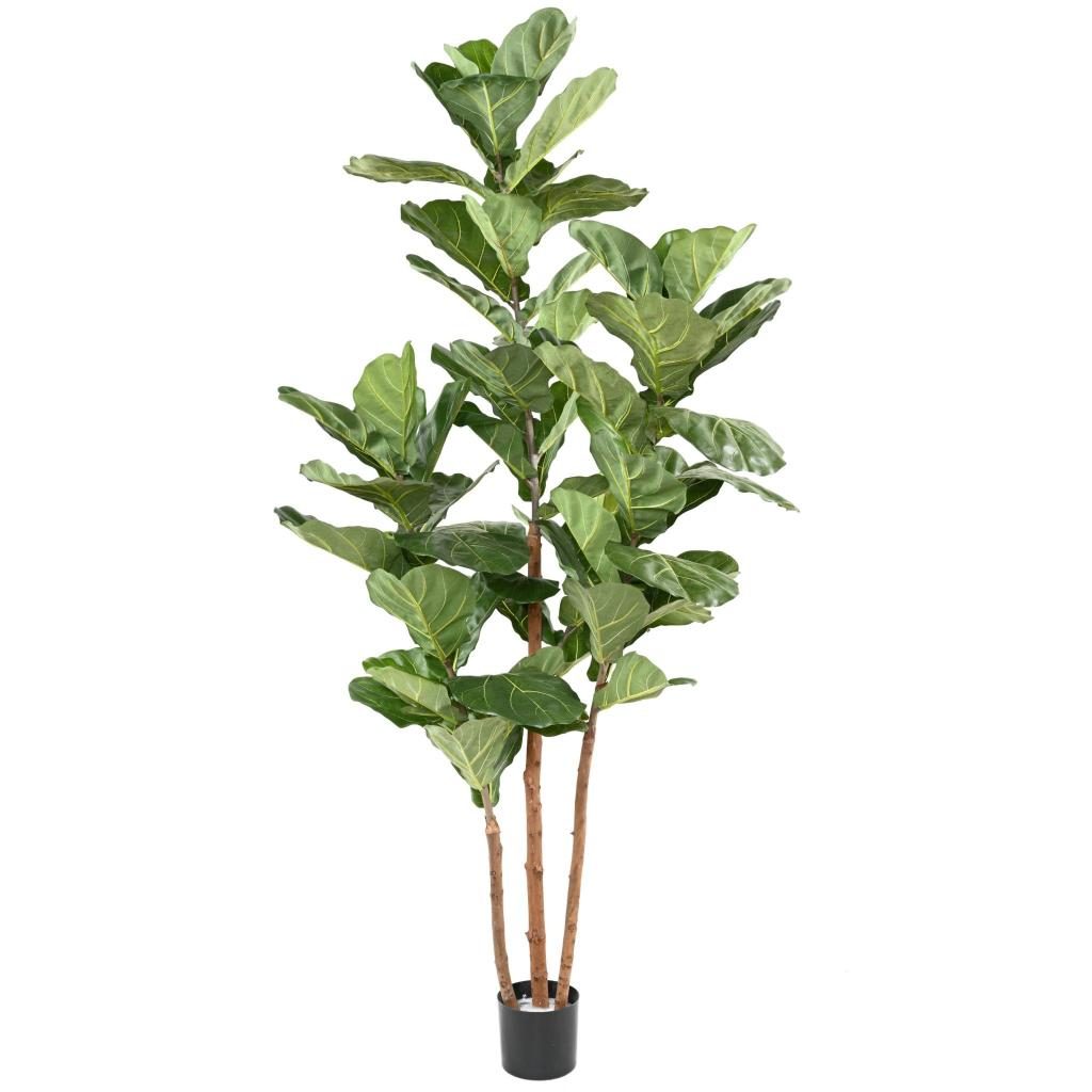 Autre angle : lyrata artificiel de 190 cm sur trois tiges en bois