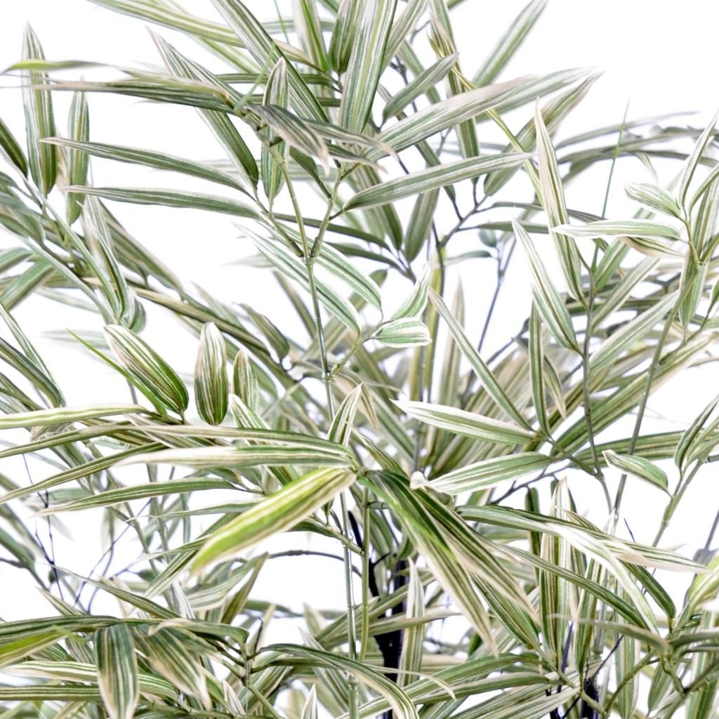 Autre angle : bambou décoratif bicolore sur sept cannes noires, hauteur 125 cm