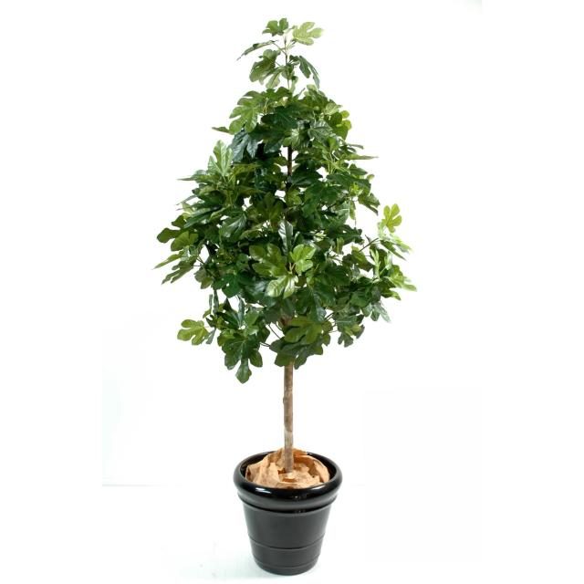 Figuier synthétique avec fruits, hauteur 170 cm et largeur 70 cm